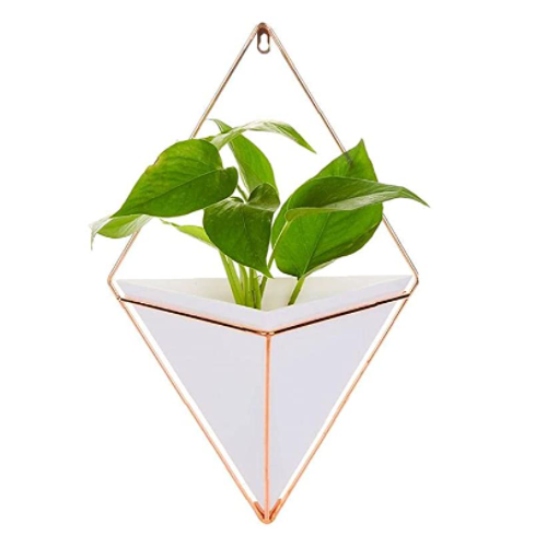 Artificial Plants