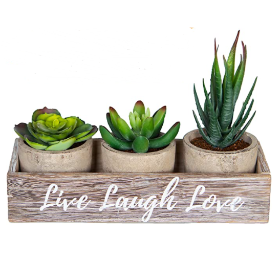 Artificial Plants