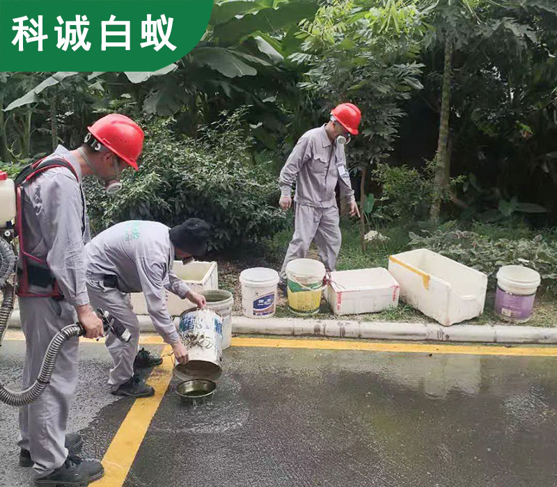 从源头防控登革蚊