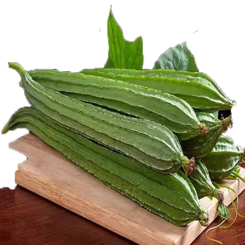 八角棱丝瓜