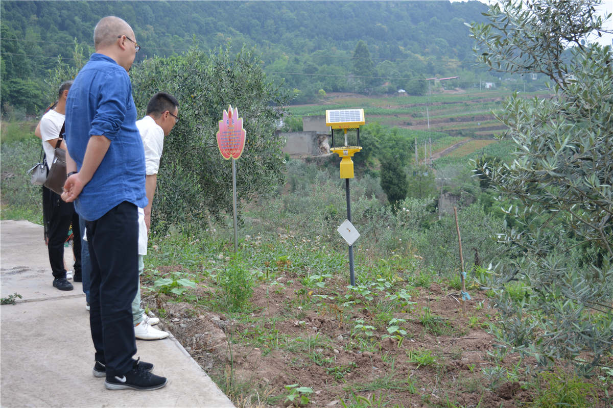 <span>省农业厅副厅长视察基地</span>