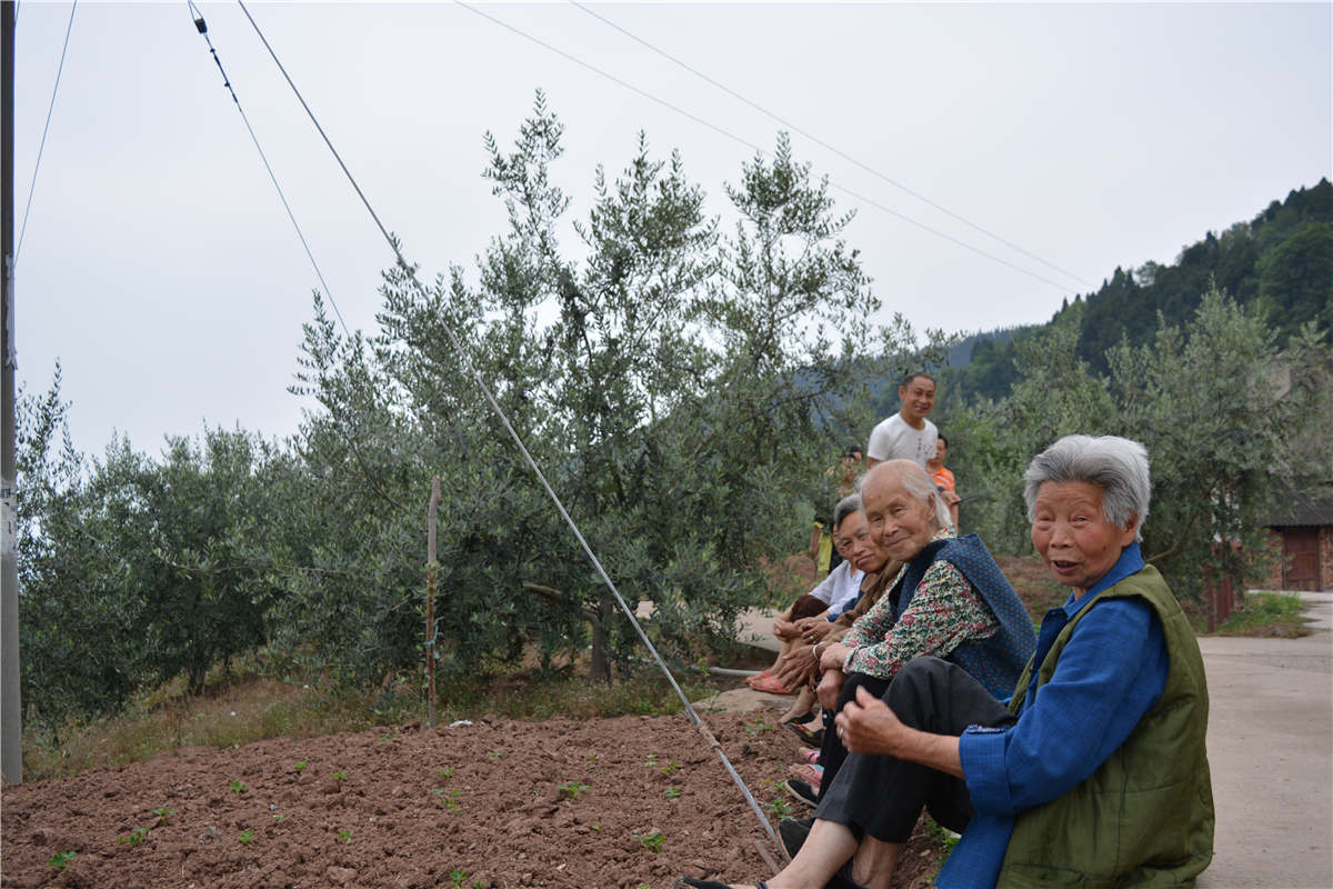 <span>省农业厅副厅长视察基地</span>