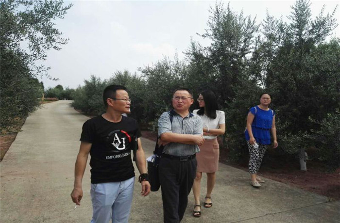 各界领导视察