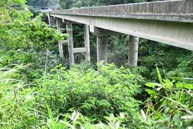 贵州省101省道边外河大桥维修处治工程