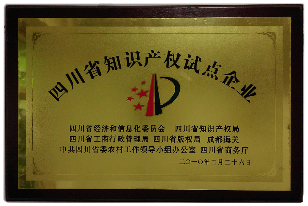 省-知识产权试点