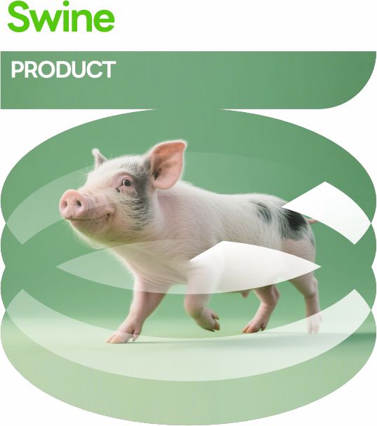猪用产品