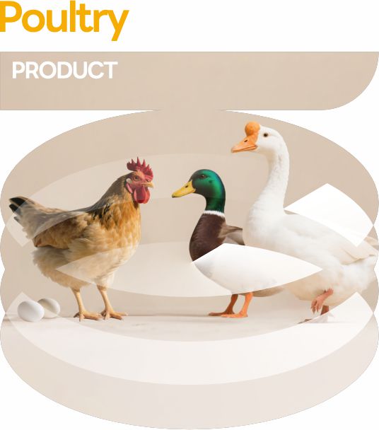 禽用产品