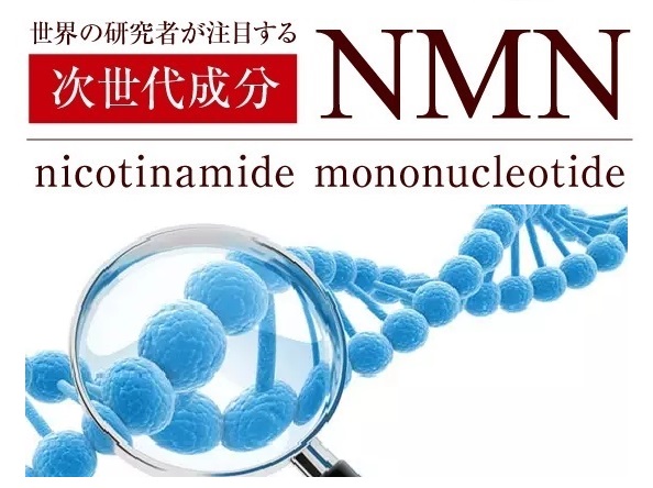 NMN科学普及の知識
