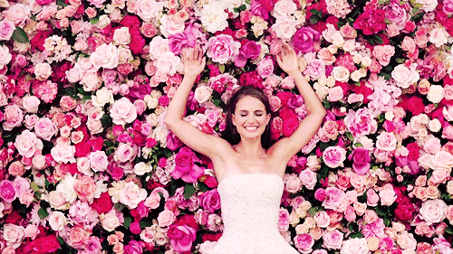 九正3三八女王节 九正3三八女王节