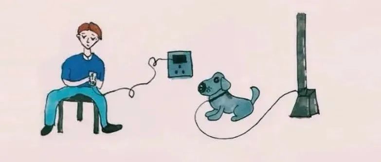 “科技之花”九正无线充电凝聚科技成果,献礼二十大 “科技之花”九正无线充电凝聚科技成果,献礼二十大