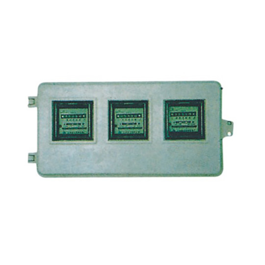 RLBX Ammeter Case