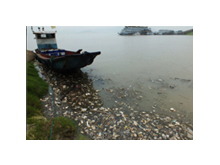 河道污染物检测