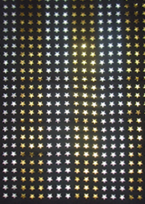 Foil Print 2