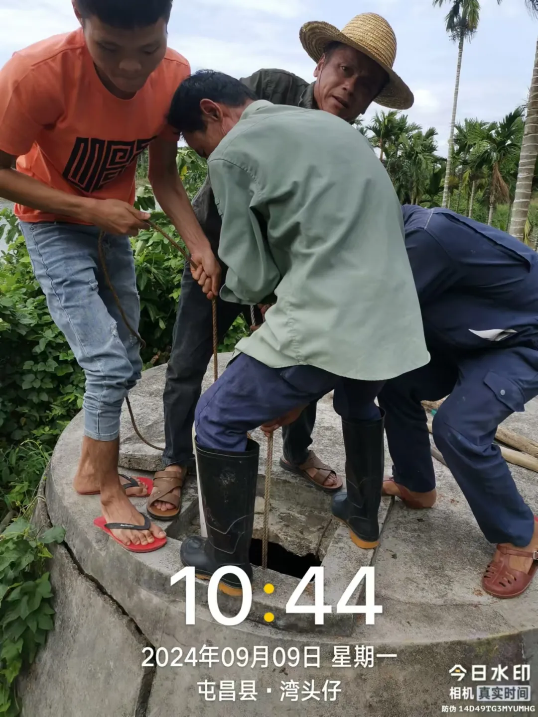 圖片