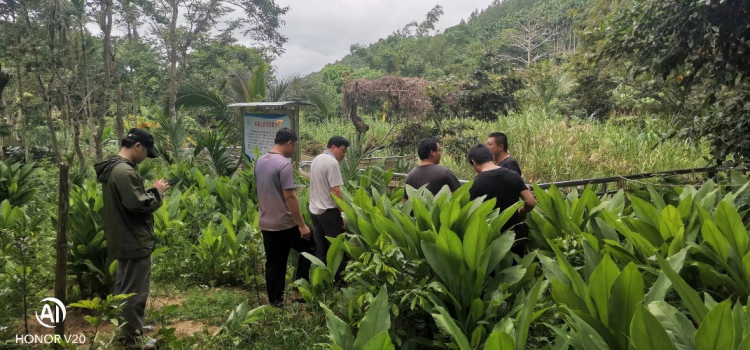 简篇-助推六水共治,共建美丽乡村 图片