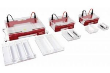 Compact 系列水平電泳儀