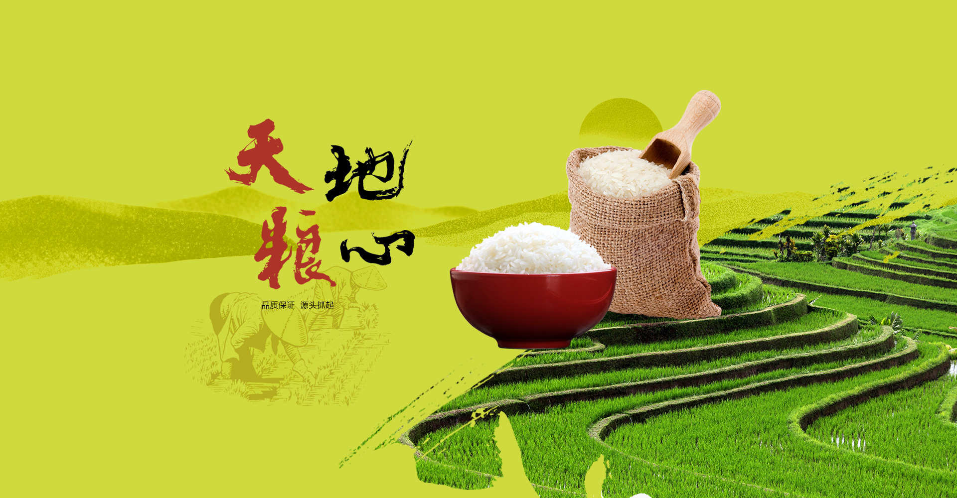 网站首页