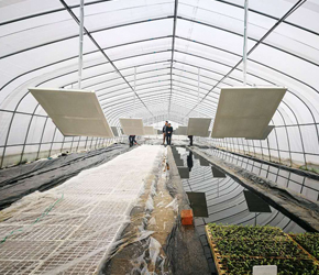 农业保温加热工程