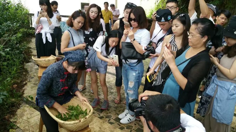 省旅游协会至揭西京明度假村开展中医药健康养生旅游推介和采风活动