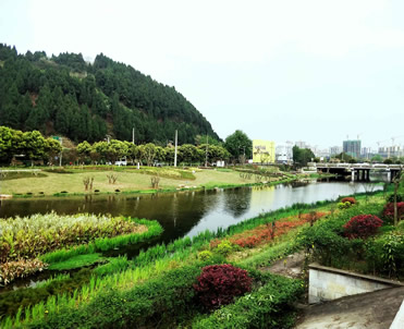 遂宁市白家河、联盟河珍稀鱼类调查