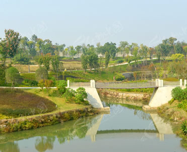 西江河水生生物多样性监测