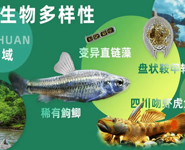 四川省全省流域生物多样性监测与水生态评价