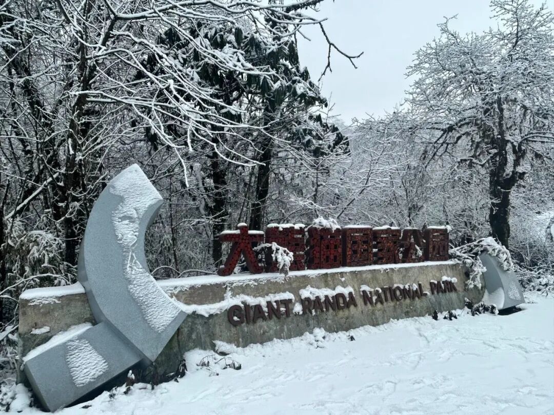 喜讯-我司中标大熊猫国家公园水生态环境质量监测项目