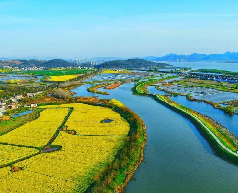 巢湖湿地生物多样性监测及生态评价