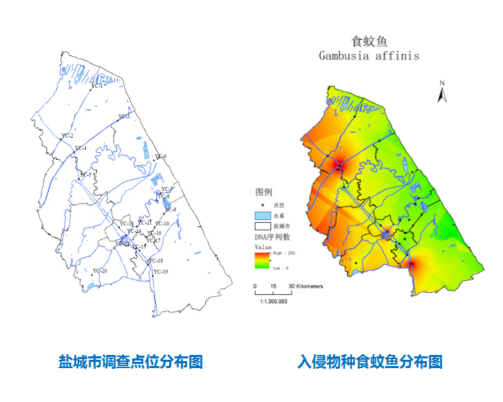 盐城市生物多样性本底调查