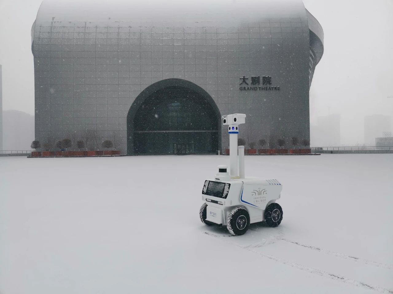 广州物博会、智慧机器人、科技