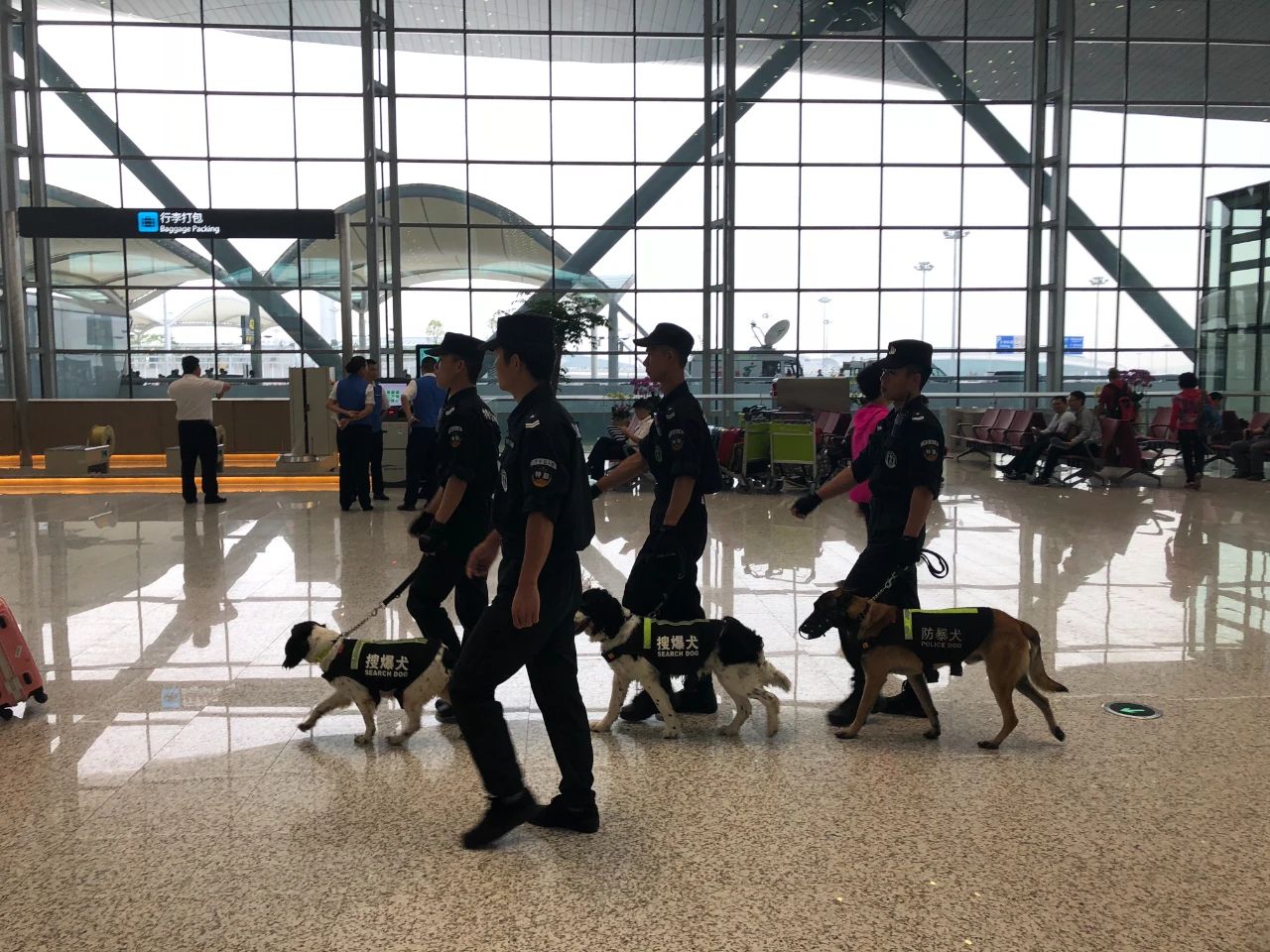 物业管理、安保、消防 物业管理、安保、消防