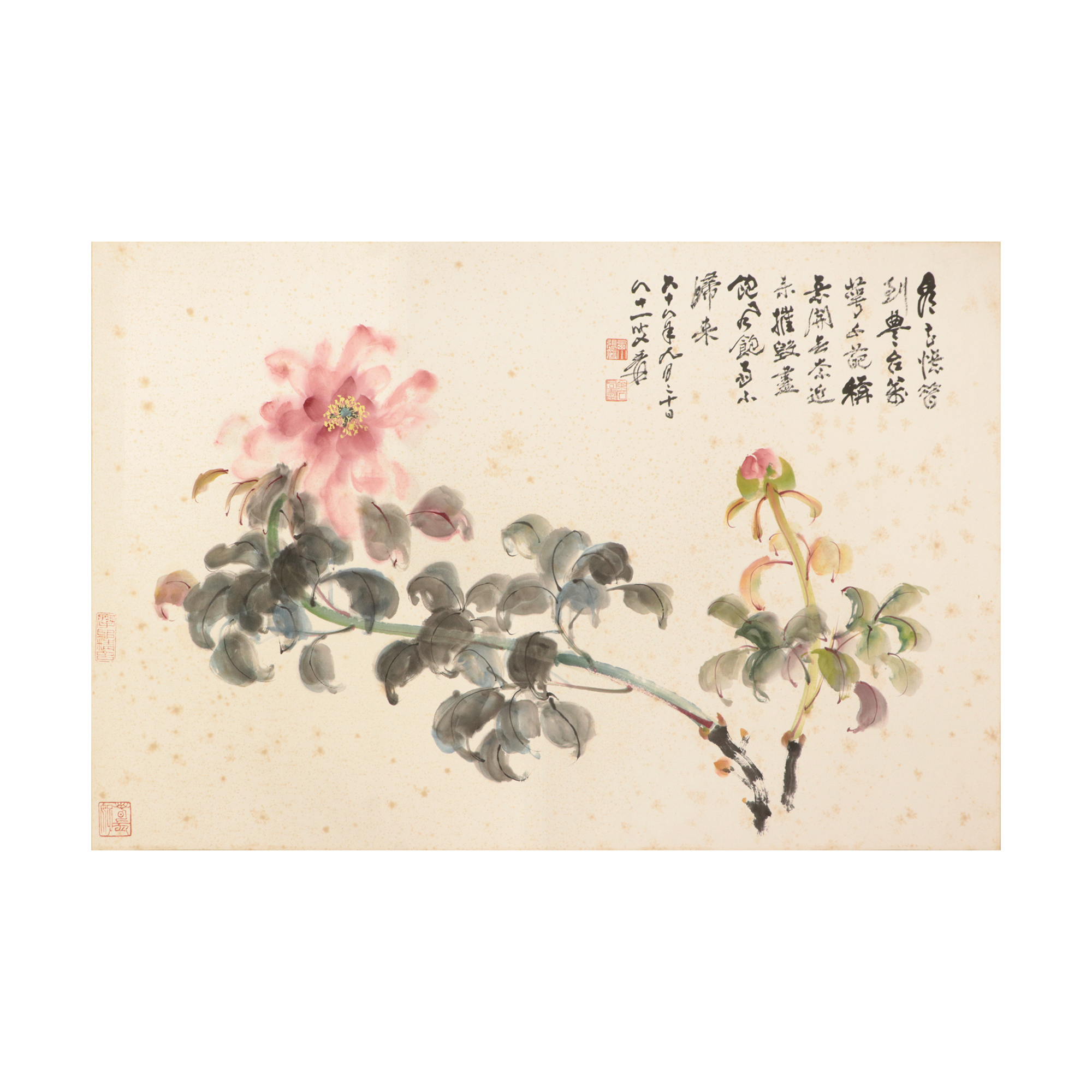 張大千牡丹圖