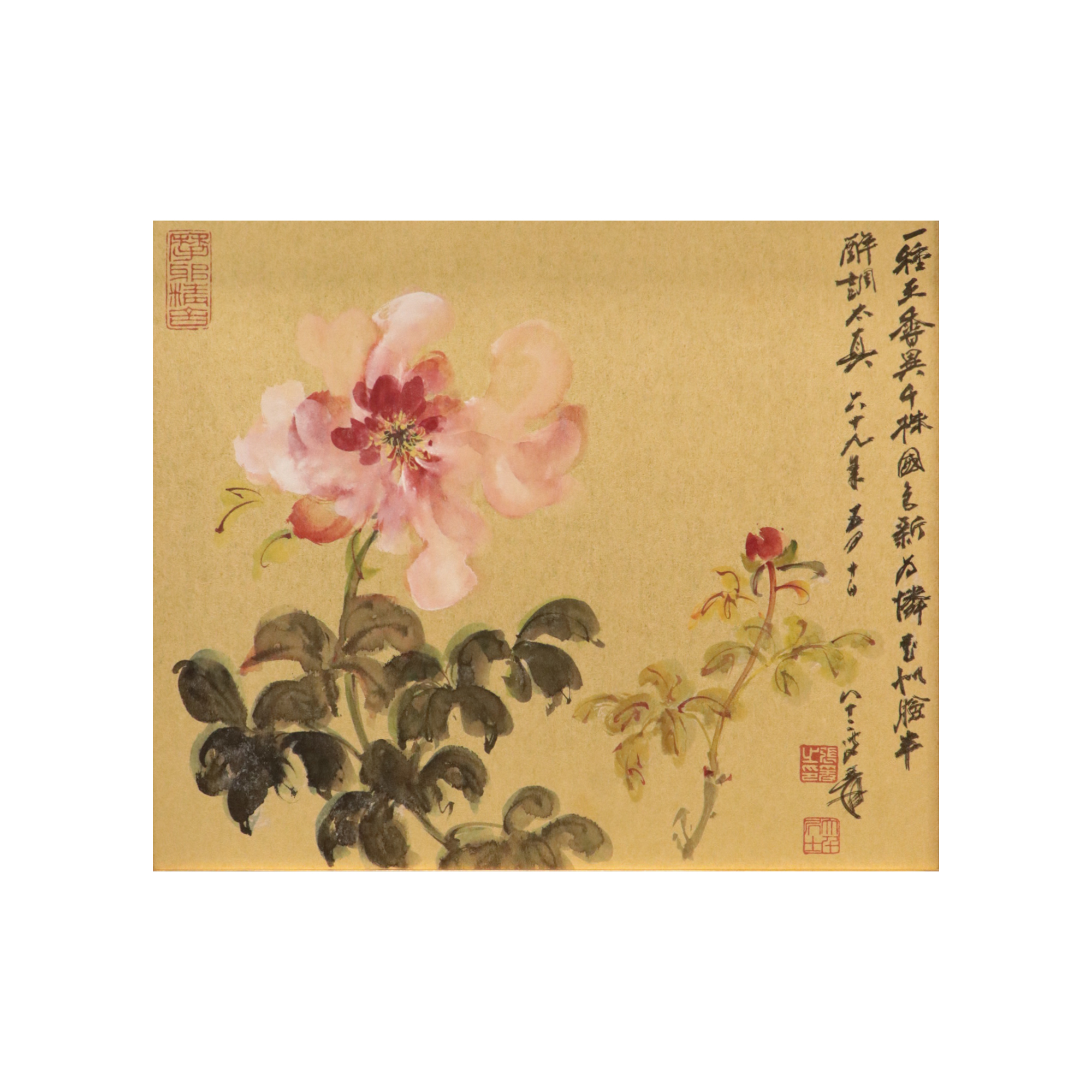 張大千《國色天香圖》