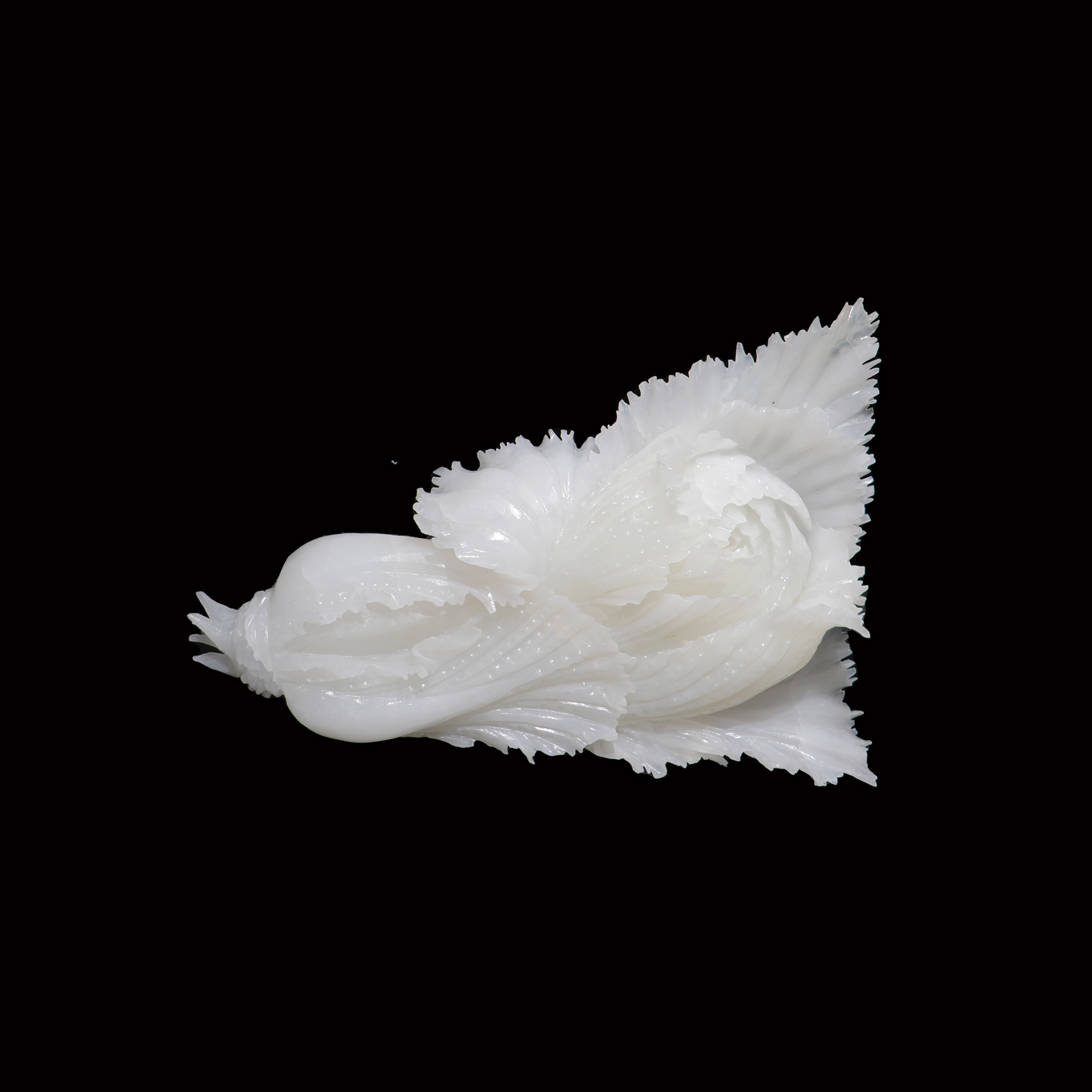 清 瑞彩白玉白菜