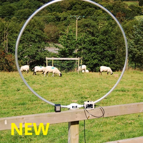 英国屏蔽中短波有源环形天线