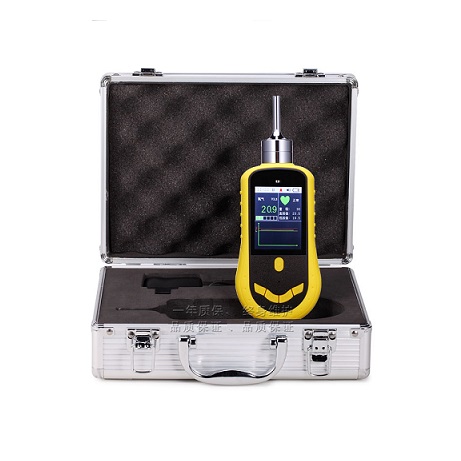 广东_可燃气体检测仪TYBX31C