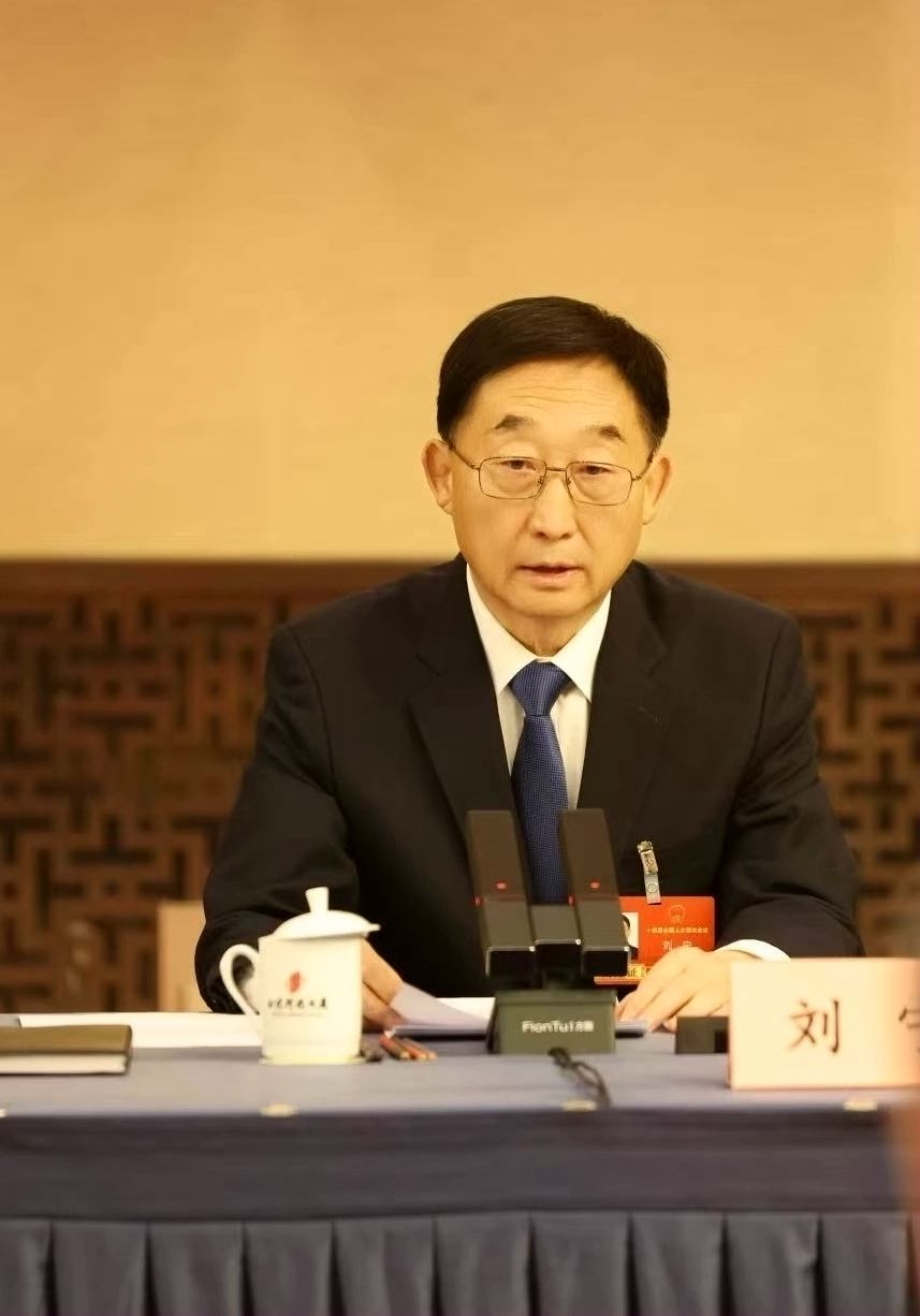 河南代表团开放日：锚定“十五五”良好开局 以高质量发展服务国家大局