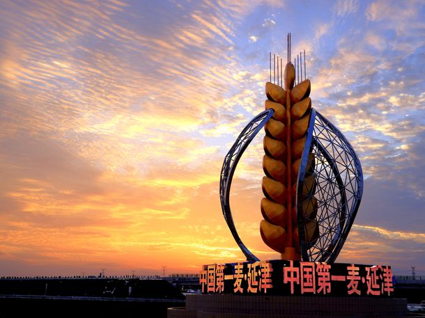 河南延津：从千年粮仓到百亿集群的跃迁