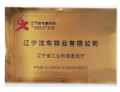 遼寧省專精特新小巨人企業(yè)