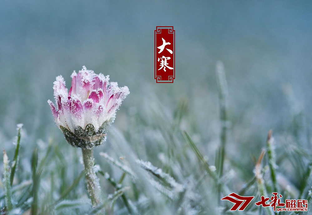 二十四節(jié)氣·大寒：堅持熱愛，奔赴下一個四季