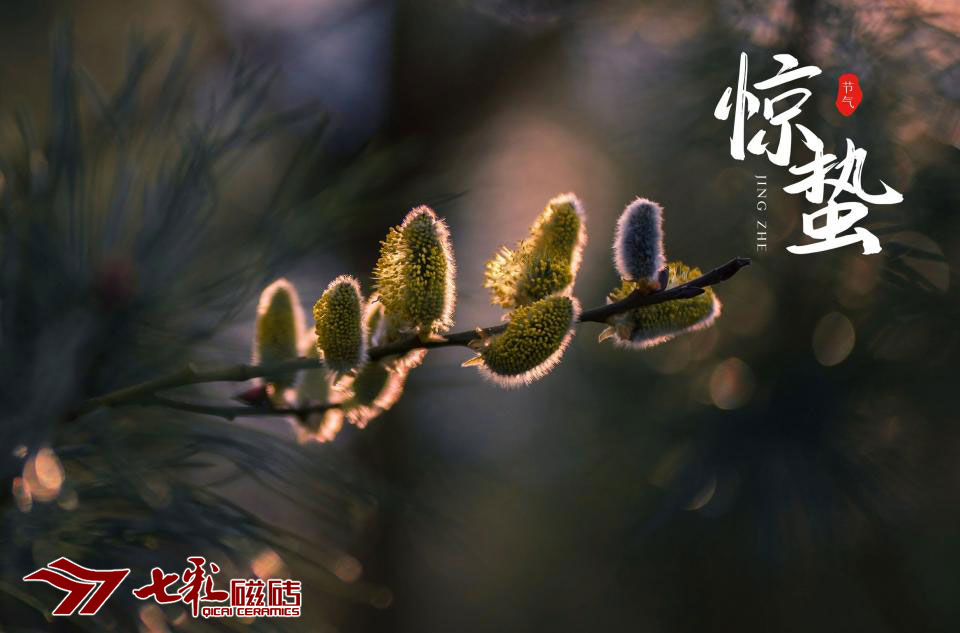 二十四節(jié)氣·驚蟄：春回大地　萬(wàn)物復(fù)蘇