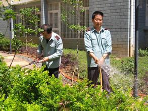 园林绿化养护