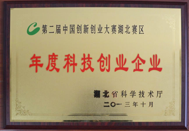 年度科技创业企业奖牌