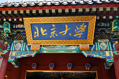 报名开启 | 徐悲鸿教育联合推出TOP级大学AI应用实践能力提升暑假研学营