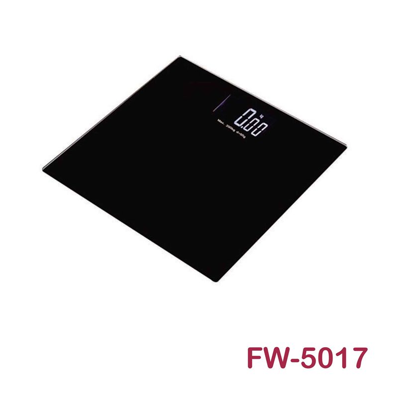 FW-5017人体秤