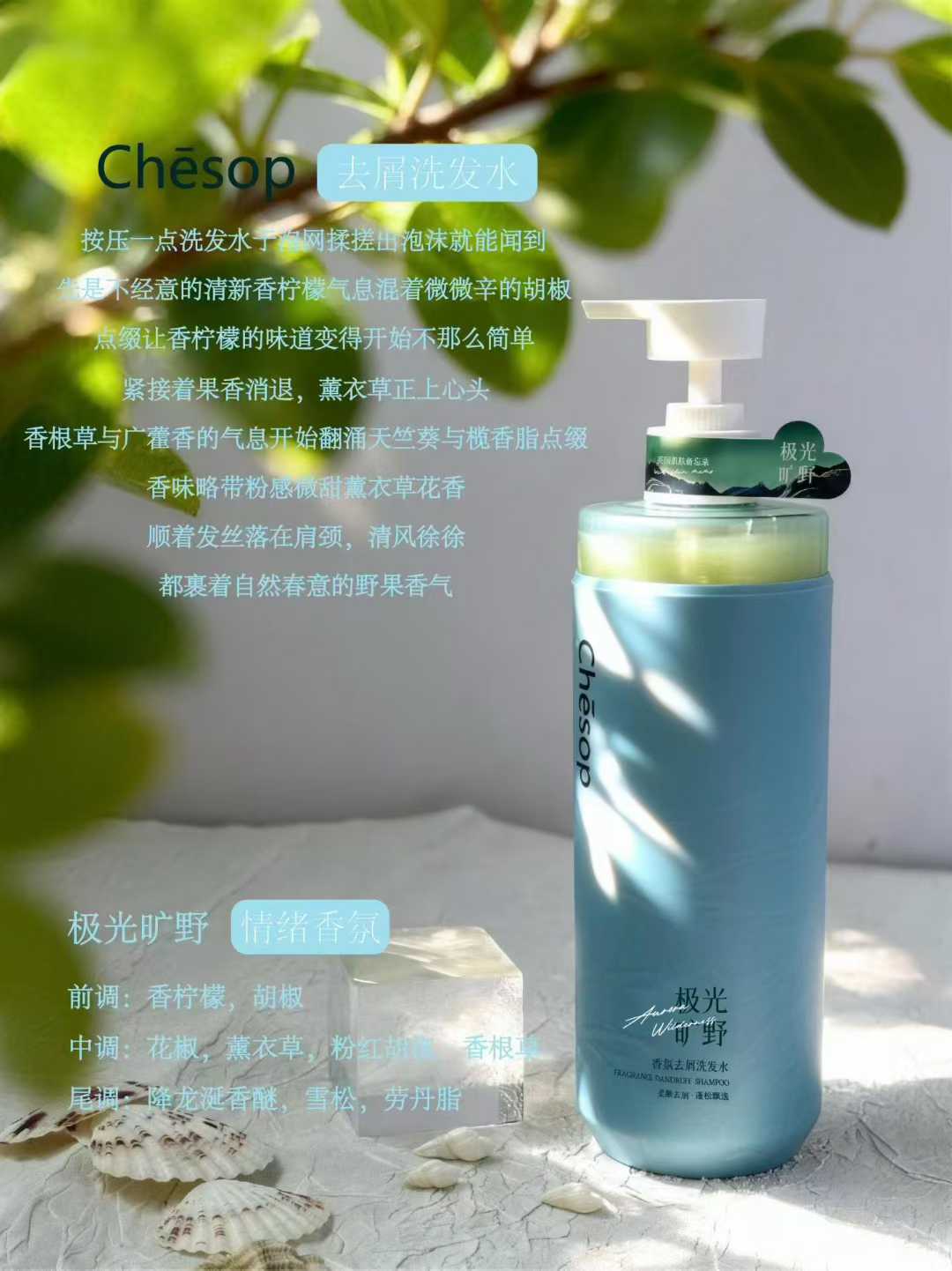 Chēsop切索普洗护沐