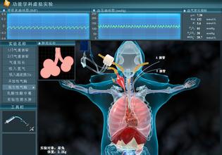 虚拟现实技术 虚拟仿真技术 武汉数字展厅 武汉数字展馆 武汉展厅设计 武汉多媒体实验室 武汉数字多媒体 曼动数字科技
