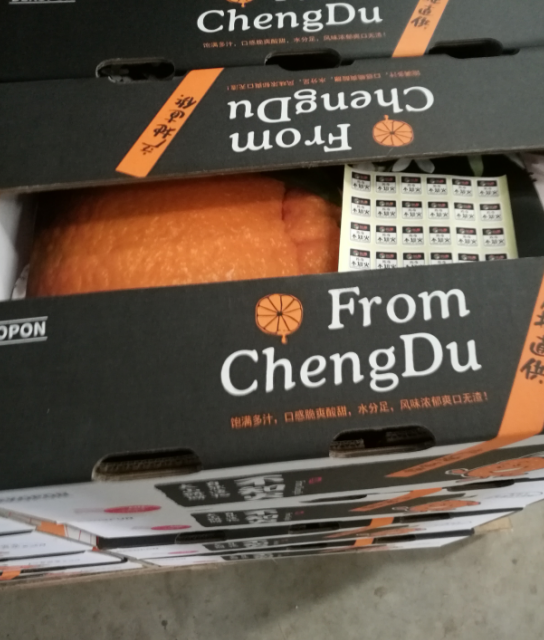 纸箱封箱