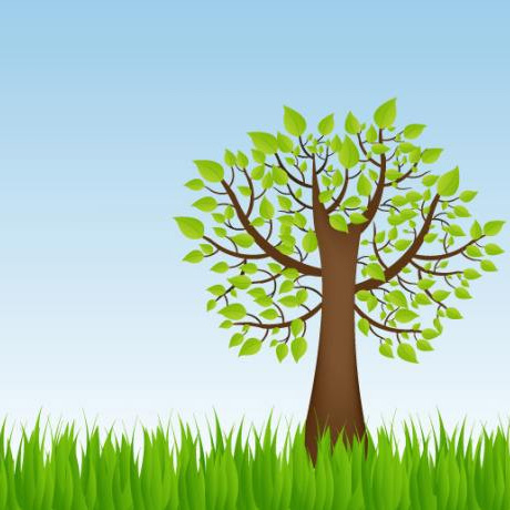 定位环保科技企业 专注环保包装