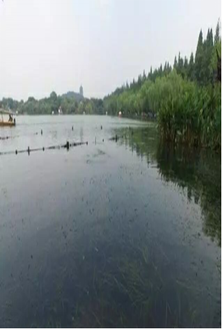 杭州西湖湖西及小南湖部分湖區(qū)生態(tài)修復(fù)施工